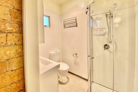 Photo of property in 22 Norwich Street, Eden Terrace, Auckland, 1021