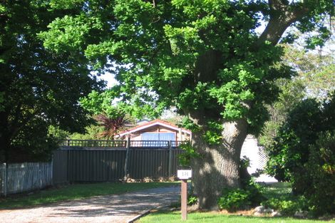 Photo of property in 38 Gordon Street, Mangapapa, Gisborne, 4010