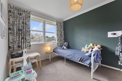 Photo of property in 17 Hobson Street, Levin, 5510