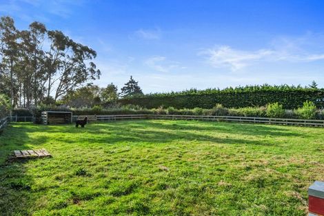 Photo of property in 91 Te Whanga Road, Levin, 5572