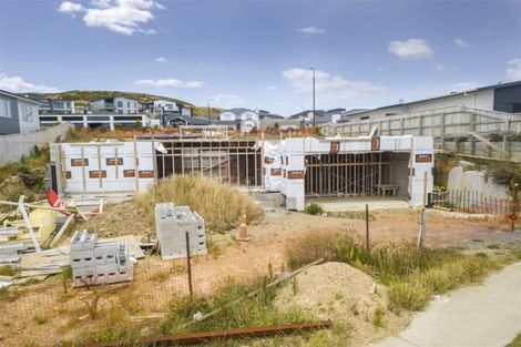 Photo of property in 58a John Burke Drive, Aotea, Porirua, 5024