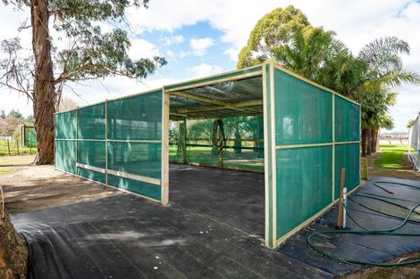 Photo of property in 527 State Highway 2, Whakatu, Hastings, 4180