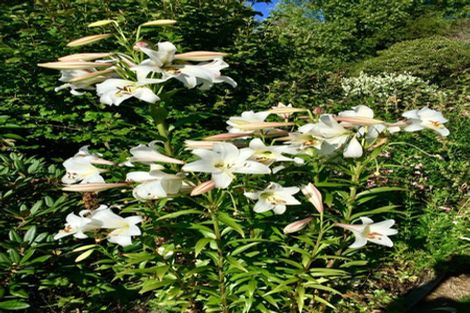 Photo of property in 37 Settlement Hill Road, Owaka, 9586