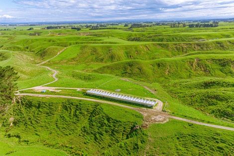Photo of property in 157 Williams Road, Muriwai, Gisborne, 4072