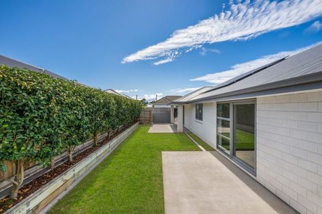 Photo of property in 23b Brewer Street, Blenheim, 7201