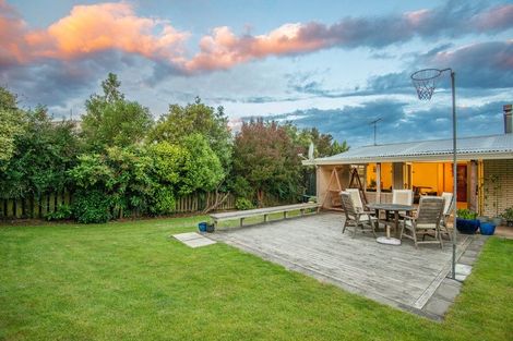 Photo of property in 49 Walton Park Avenue, Fairfield, Dunedin, 9018