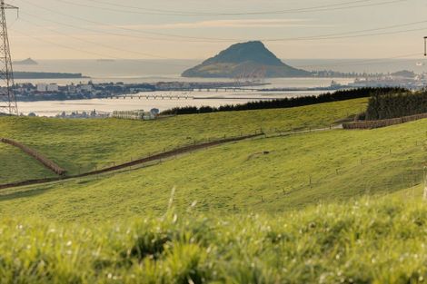 Photo of property in 39c Rowe Road, Ohauiti, Tauranga, 3173