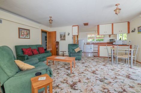 Photo of property in 23 Strode Avenue, Naseby, 9396