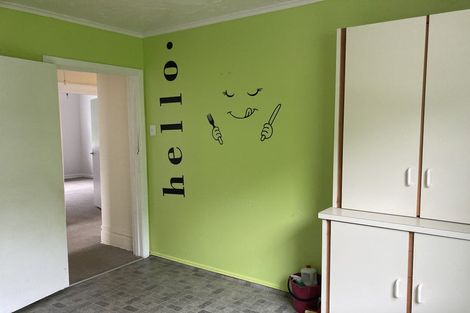 Photo of property in 43 Honiana Te Puni Street, Aro Valley, Wellington, 6021