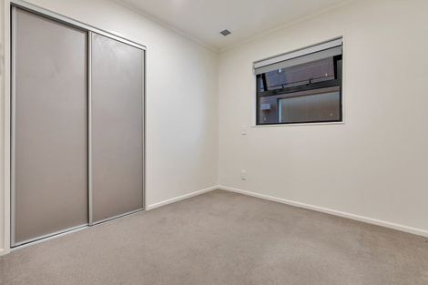 Photo of property in Luna Apartments, 3x/16 Burton Street, Grafton, Auckland, 1010