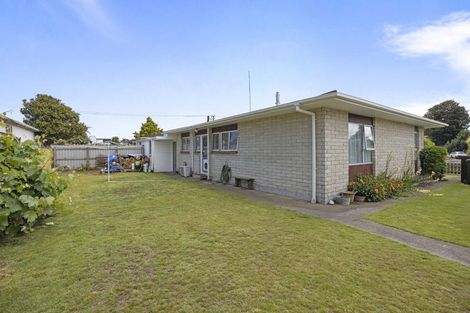 Photo of property in 19b Seyton Street, Stratford, 4332