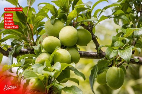 Photo of property in 10 Richmal Street, Waihi, 3610