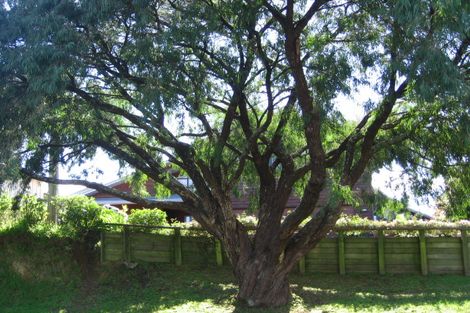 Photo of property in 61 Fourteenth Avenue, Tauranga South, Tauranga, 3112