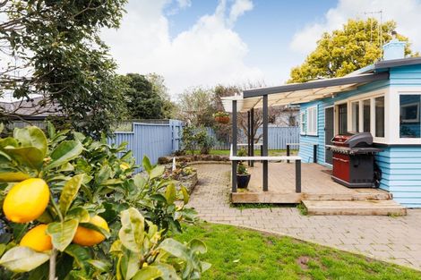 Photo of property in 93 Wood Street, Takaro, Palmerston North, 4410
