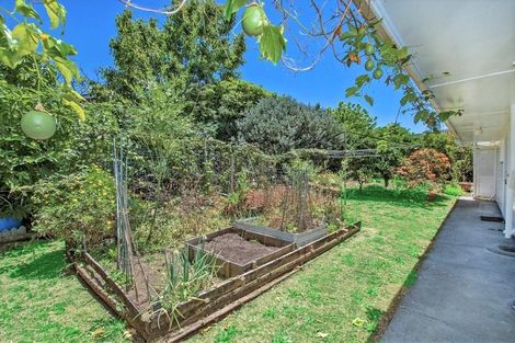 Photo of property in 43 Mains Avenue, Kensington, Whangarei, 0112