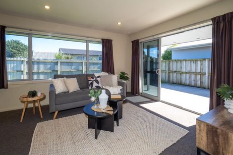 Photo of property in 106a Bowen Street, Rakaia, 7710