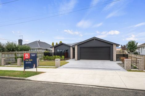 Photo of property in 26 Winchester Street, Levin, 5510