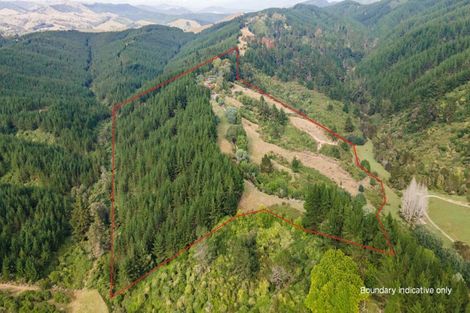 Photo of property in 233 Lloyd Valley Road, Thorpe, Motueka, 7196