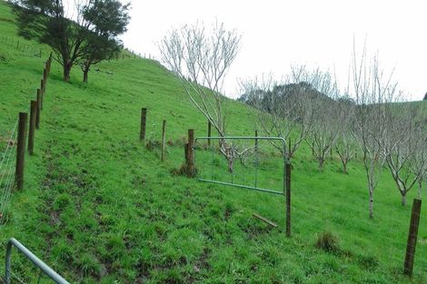 Photo of property in 103 Block Road, Hikutaia, Paeroa, 3674