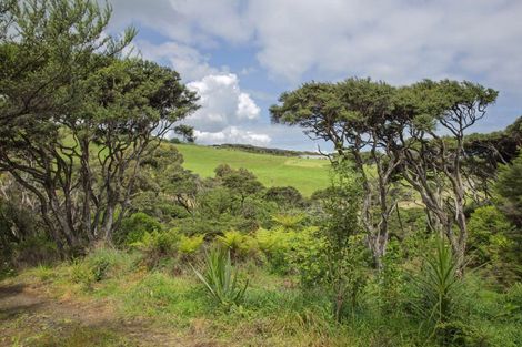 Photo of property in 1615 Whaanga Road, Raglan, 3296