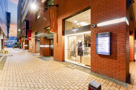 Photo of property in Chews Lane Apartments, 11e/9 Chews Lane, Wellington Central, Wellington, 6011