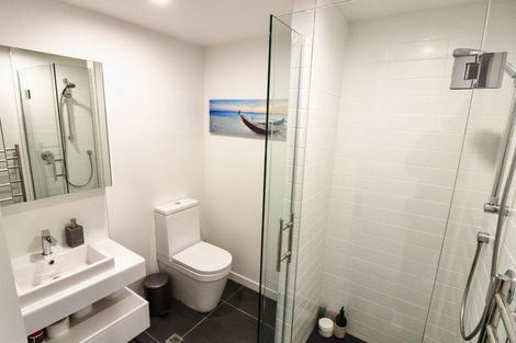 Photo of property in Pinnacle Apartments, E201/160 Victoria Street, Te Aro, Wellington, 6011