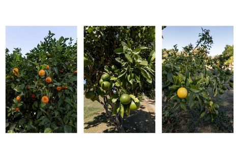 Photo of property in 402 Awakeri Road, Edgecumbe, Whakatane, 3193