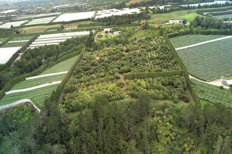 Photo of property in 400 Te Matai Road, Te Puke, 3188