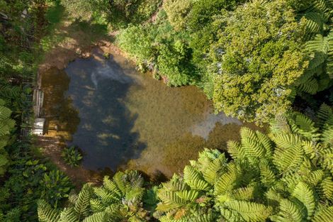 Photo of property in 1039c Work Road, Whakamarama, Katikati, 3181