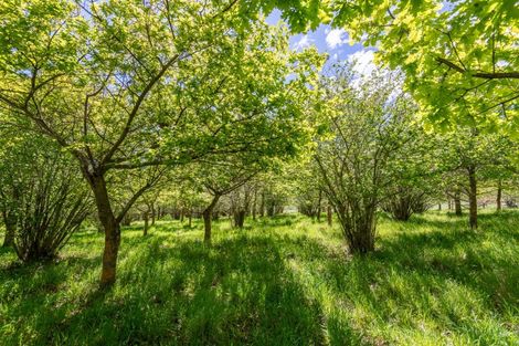 Photo of property in 64 Littles Drive, Waikari, 7420