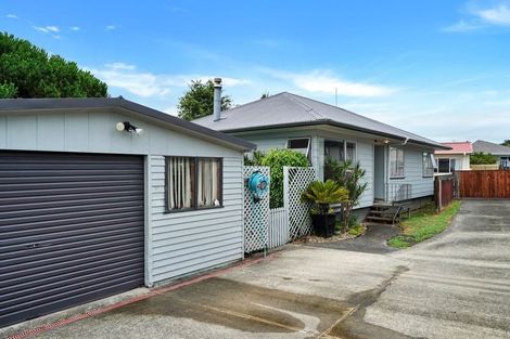 Photo of property in 1/20 Mile Place, Henderson, Auckland, 0612