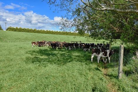 Photo of property in 51 Nicholson Road, Upper Charlton, Gore, 9777