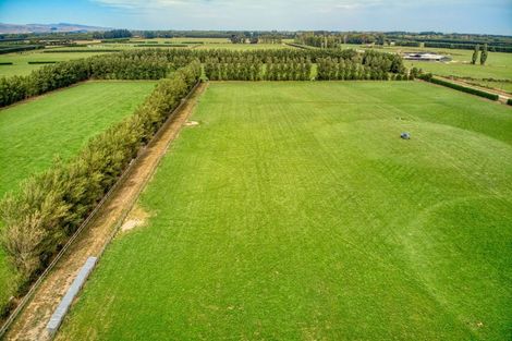 Photo of property in 247 Collins Road, Lincoln, Christchurch, 7674