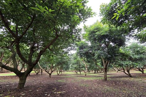 Photo of property in 244 Beach Road, Katikati, 3178