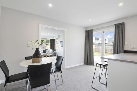 Photo of property in 19 Oxford Street, Richmond, 7020