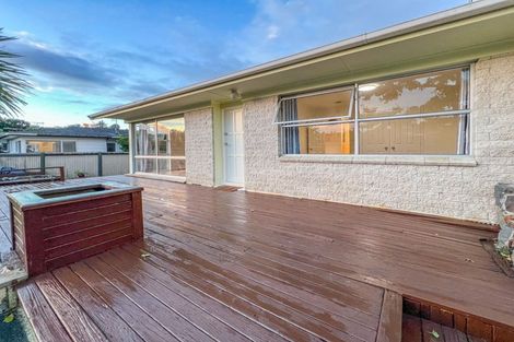 Photo of property in 1/3 Mannering Place, Hillcrest, Auckland, 0627