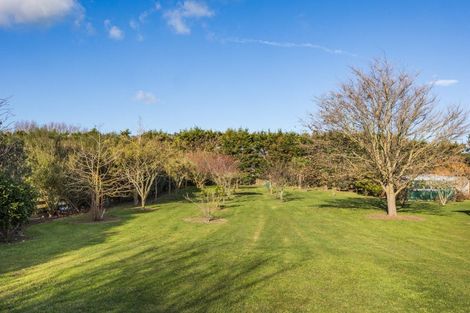 Photo of property in 16 Spring Street, Foxton, 4814
