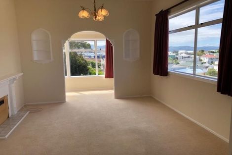 Photo of property in 20 Carrington Street, Mount Cook, Wellington, 6021