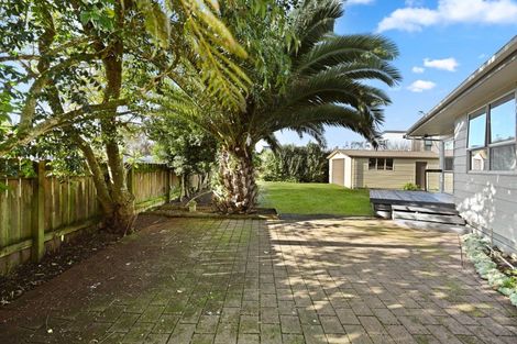 Photo of property in 55b Fifth Avenue, Enderley, Hamilton, 3214