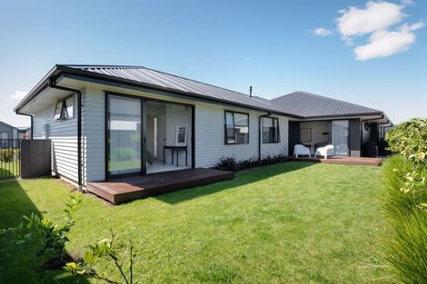 Photo of property in 17 Ruru Street, Cambridge, 3434