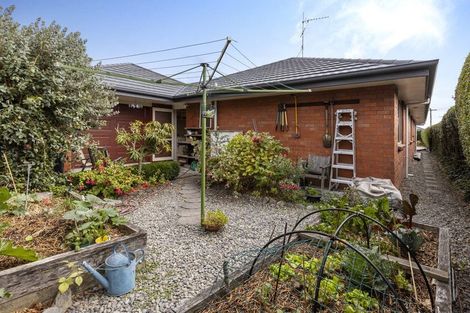 Photo of property in 49a George Street, Blenheim, 7201