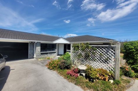 Photo of property in 52 Paynters Avenue, Strandon, New Plymouth, 4312