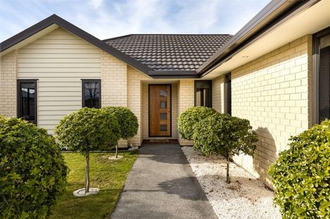 Photo of property in 135 Taylor Pass Road, Witherlea, Blenheim, 7201