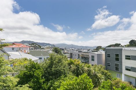 Photo of property in 219a Adelaide Road, Newtown, Wellington, 6021