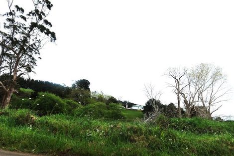 Photo of property in 38 Donnellys Station Road, Donnellys Crossing, Dargaville, 0379