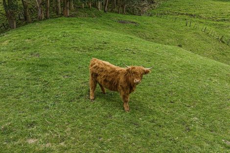 Photo of property in 148 Stanley Road, Wainui, Opotiki, 3198