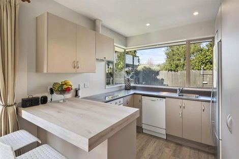 Photo of property in 115a Somerfield Street, Somerfield, Christchurch, 8024