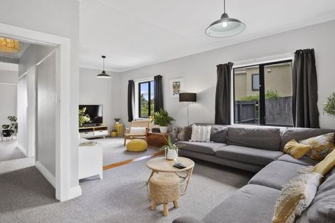 Photo of property in 140 Forfar Street, Clyde Hill, Dunedin, 9011