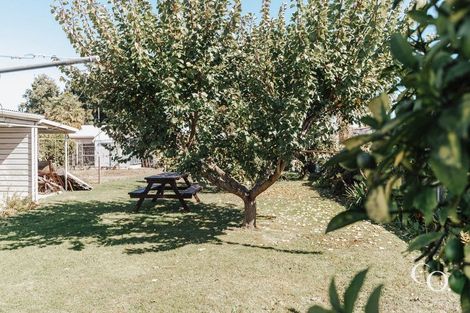 Photo of property in 805 Ferguson Street, Akina, Hastings, 4122