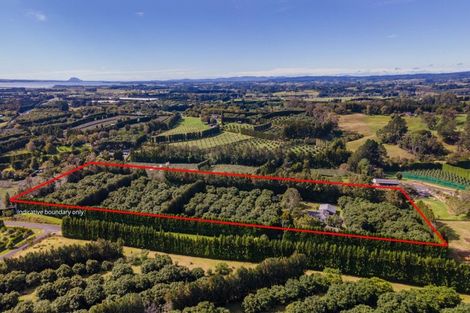 Photo of property in 43 Thompsons Track, Aongatete, Katikati, 3178
